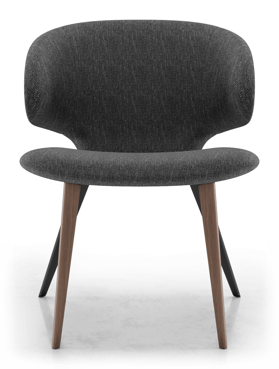 Harper Dining Chair